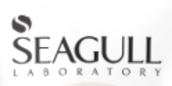 Seagull
